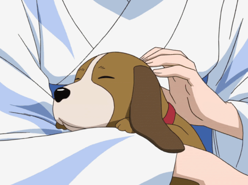 Person Petting Small Brown and White Dog