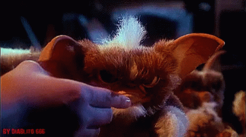 Person Petting Stuffed Animal