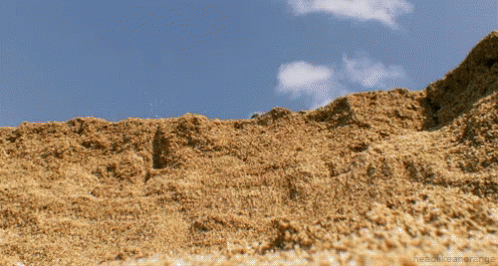 Person Photographing Large Dirt Pile