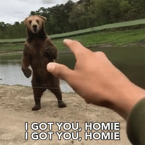 Person Pointing at Bear I Got You Homie