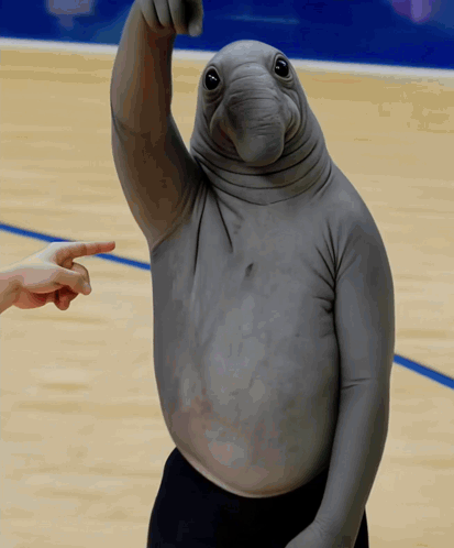 Person Pointing at Gray Elephant on Court