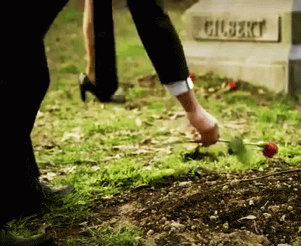 Person Putting Rose On Gilbert Grave GIF
