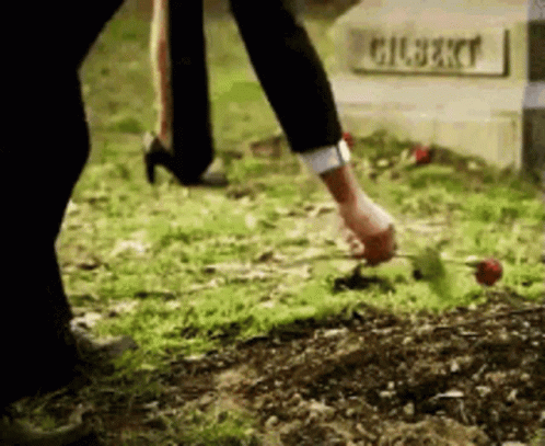 Person Putting Rose On Gilbert Grave GIF