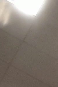 Person Reaching for Ceiling Light