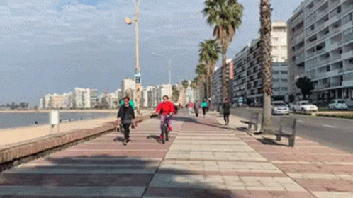 Person Riding Bike On Sidewalk By Beach GIF