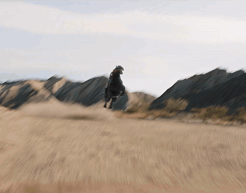 Person Riding Black Horse in Field