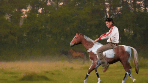 Person Riding Brown And White Horse GIF