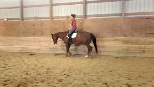 Person Riding Brown Horse in Sandy Area