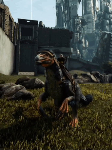 Person Riding Dinosaur In Field GIF