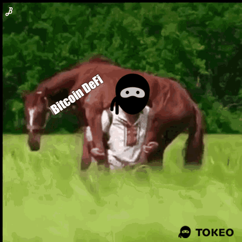 Person Riding Horse Bitcoin Defi GIF