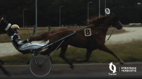 Person Riding Horse Drawn Carriage Strategie Executie GIF