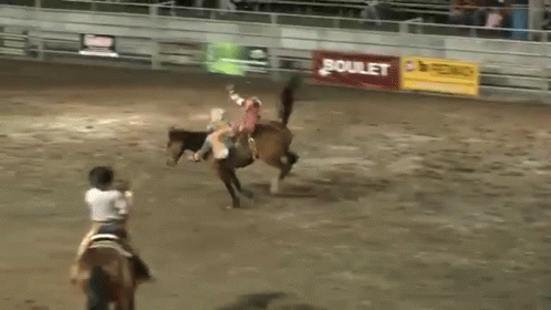 Person Riding Horse in Rodeo Arena with BC Sign