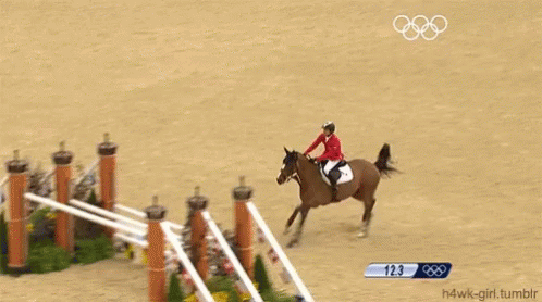 Person Riding Horse Number 135 GIF