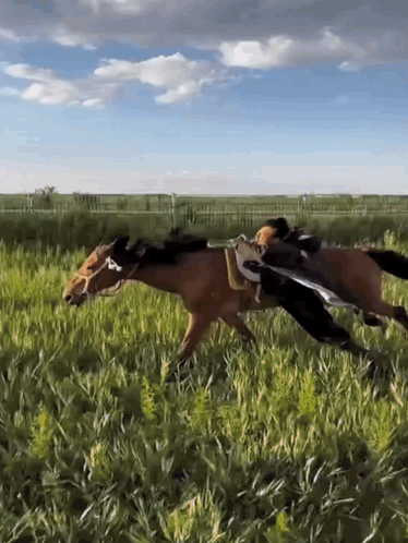 Person Riding Horse With Saddle