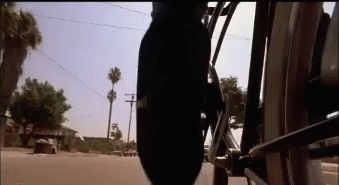 Person Riding Motorcycle With Palm Tree