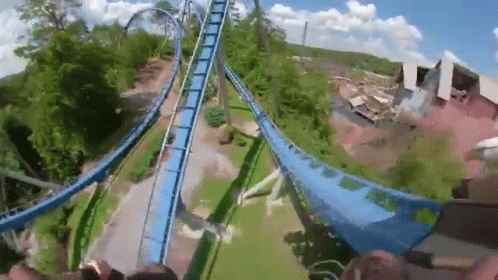 Person Riding Roller Coaster