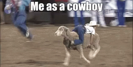 Person Riding Sheep on Dirt Field