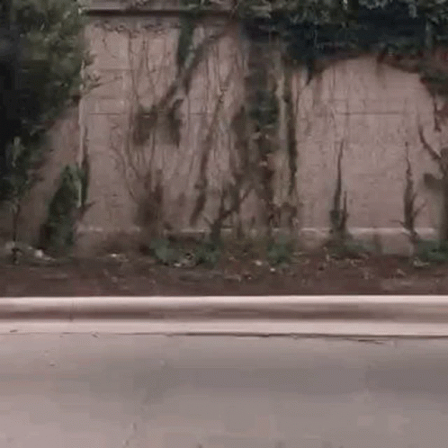 Person Riding Skateboard Down Street