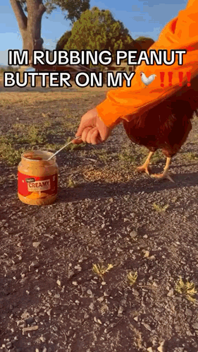 Person Rubbing Peanut Butter On Chicken Feathers GIF