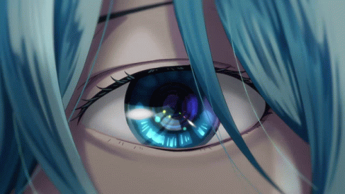 Person's Blue Eye With White Hair Close Up