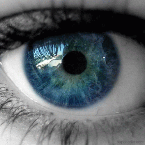 Person's Eye Close Up supcharlie.com