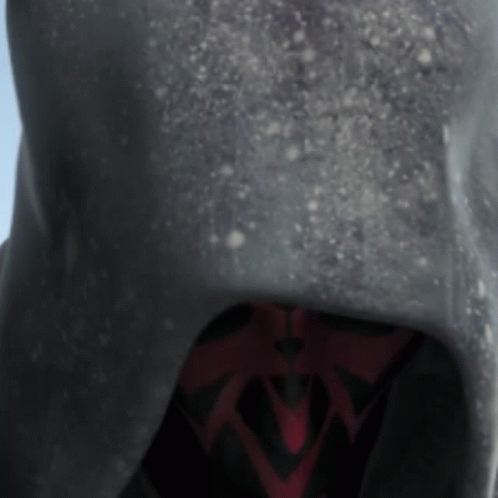 Person's Face Close Up with Hood