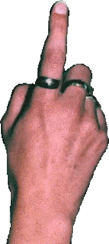 Person's Hand Showing Middle Finger