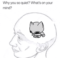 Person's Head With Cat Inside