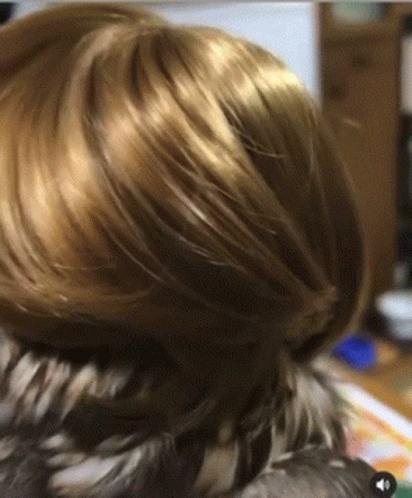 Person's Head With Wig