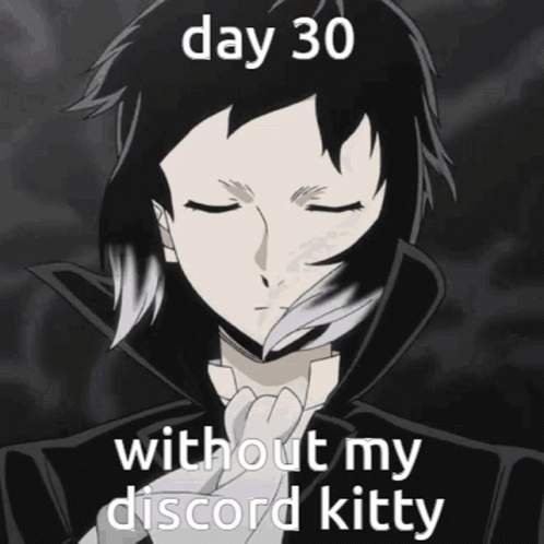Person Saying Day 30 Without My Discord Kitty