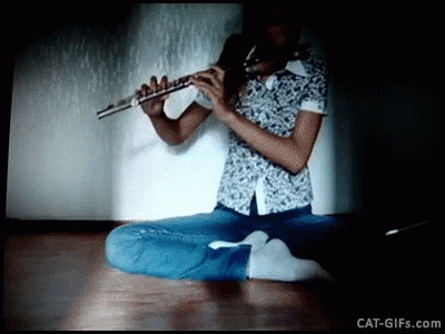 Person Sitting on Floor Playing Flute cat-gifs.com