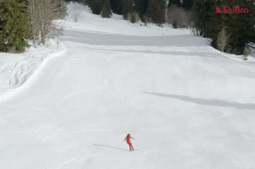 Person Skiing With Skibro GIF