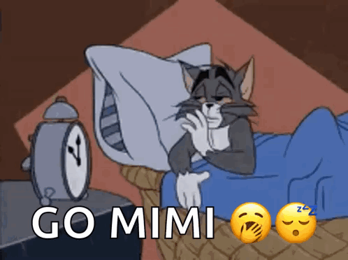 Person Sleeping in Dark Room with A Mimir