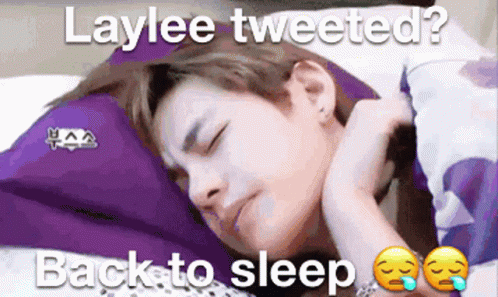 Person Sleeping Laylee Tweeted Back to Sleep