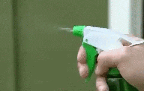 Person Spraying Green Wall GIF