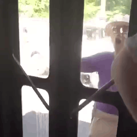 Person Standing Behind Fence With Purple Shirt GIF