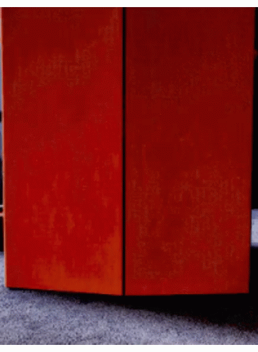 Person Standing Behind Red Door