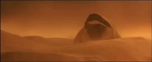 Person Standing In Desert With Open Mouth GIF