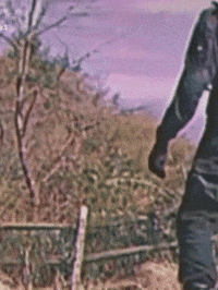 Person Standing In Field With Fence GIF