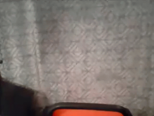 Person Standing in Front of Curtain and Chair