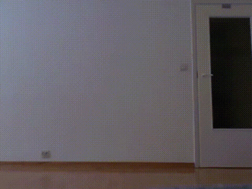Person Standing in Front of Door