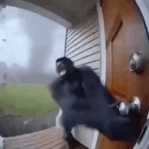 Person Standing In Front Of Door With Storm GIF