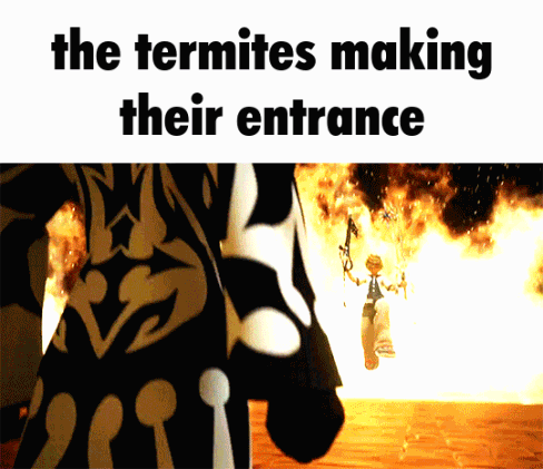 Person Standing in Front of Fire