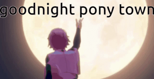 Person Standing in Front of Full Moon Saying Goodnight Pony Town