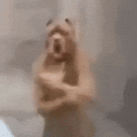 Person Standing in Front of Glass Door