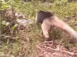 Person Standing In Grass With Feet Up GIF