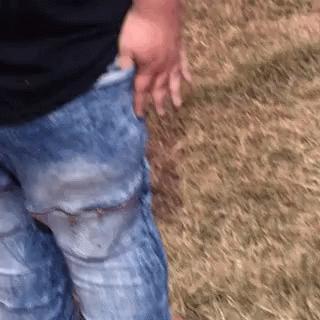 Person Standing In Grass With Hand In Pocket GIF