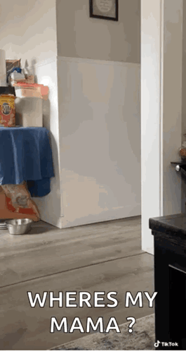 Person Standing in Hallway With Where's My Mama