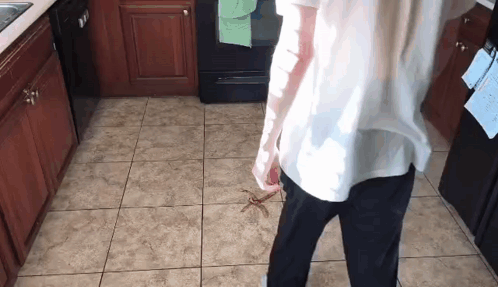 Person Standing in Kitchen With Spider on Floor