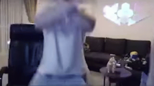 Person Standing In Living Room With Cat On Floor GIF